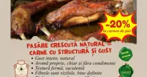 Stire din Actualitate : Puiul care face diferenta!