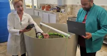 Stire din Social : Creveți crescuți în laborator, la Marea Neagră. Proiect românesc pentru hrană sănătoasă și sustenabilă