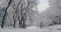 Stire din Social : NE AȘTEAPTĂ O IARNĂ CUMPLITĂ! Ce fenomene extreme anunță meteorologii