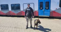 Stire din Eveniment : Acțiune a polițiștilor în Gara Constanța. Persoane legitimate și amenzi de peste 10.000 de lei