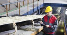 Stire din Social : Agenții economici, amendați cu peste un milion de lei de ITM Constanța