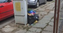 Stire din Social : Constănțean amendat pentru că și-a aruncat gunoiul în mijlocul străzii