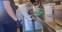Stire din Social : Litoralul, luat la puricat de inspectorii sanitari veterinari