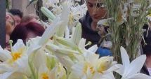 Stire din Cultură-Educație : Care este simbolistica sărbătorii crinilor în biserica catolică, celebrată pe 13 iunie