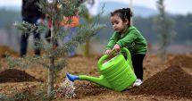 Stire din Cultură-Educație : Școala Curtea Brâncovenească organizează un inedit concurs de plantare, cu premii substanțiale