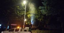 Stire din Social : Noi acțiuni de dezinsecție în cartierele din municipiul Constanța