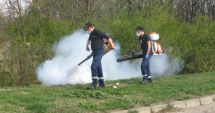 Stire din Social : Se intensifică acțiunile de dezinsecție din municipiul Constanța și stațiunea Mamaia