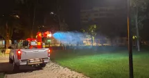 Stire din Social : Dezinsecție în toate cartierele din Constanța. Intervențiile au loc în această seară și mâine