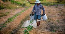 Stire din Social : Europa caută forţă de muncă. Peste 300 de joburi disponibile pentru români