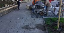 Stire din Social : Se reabilitează jardinierele din municipiul Constanța