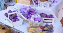 Stire din Social : Lavanda Fest ajunge pentru prima dată la Constanța, în piaţa „Ovidiu”
