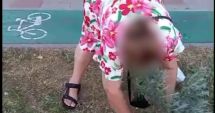 Stire din Social : Până şi lavanda se fură, la Constanţa. Furtul de flori, sport naţional pentru unii cetăţeni