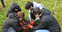 Stire din Social : Constănțenii sunt aşteptați să planteze copaci în zona bulevardului Aurel Vlaicu