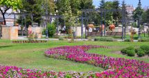 Stire din Social : Cartierele constănţene prind culoare. Au fost înfrumusețate cu noi specii de plante