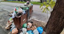 Stire din Social : Constănțean amendat pentru gunoaiele aruncate pe stradă