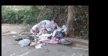Stire din Social : Amenzi pentru constănţenii care aruncă gunoaiele pe stradă