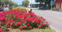 Stire din Social : Spațiile verzi din Constanța, în atenția echipelor de întreținere