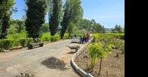 Stire din Social : Procesul de modernizare a Parcului Tăbăcărie continuă