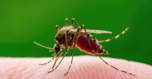 Stire din Social : Peste o sută de cazuri de West Nile, înregistrate pe parcursul acestui an