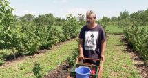 Stire din Social : Zilierii și salariații temporari, la control! Zeci de amenzi aplicate