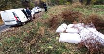 Stire din Eveniment : Hoți de cereale, prinși de polițiștii locali constănțeni