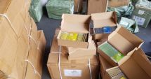 Containere cu articole electronice, aduse din China, confiscate de Garda de Coastă