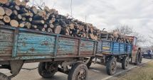 Stire din Eveniment : Prins de jandarmi cu şapte metri cubi de lemne fără acte! În plus: „şofer” fără permis, remorcă neînmatriculată