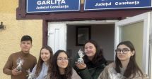Stire din Cultură-Educație : Proiect caritabil desfășurat de elevii Liceului Teoretic „Ovidius”