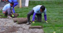 Stire din Social : Spațiul de recreere din zona Delfinariu a fost revitalizat