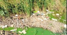 Stire din Social : Deşeuri îngropate în Lacul Techirghiol. Garda de Mediu a depus o  sesizare penală