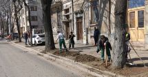 Stire din Social : Spaţiile verzi din Constanţa, curăţate şi reamenajate