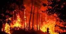 Stire din Actualitate : Pompierii români continuă misiunea de stingere a incendiului din sud-vestul Franţei