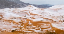 Imagini ireale: A nins în deșertul Sahara!