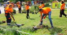 Stire din Social : Zeci de arbuști, plantați în Țara Piticilor