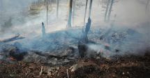 Zeci de hectare de pădure, mistuite de flăcări. Romsilva, semnal de alarmă privind incendierea miriștilor