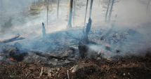 Stire din Eveniment : Zeci de hectare de pădure, mistuite de flăcări. Romsilva, semnal de alarmă privind incendierea miriștilor