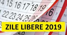Stire din Social : VEȘTI BUNE. Românii ar mai putea beneficia de încă o zi liberă