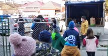 Stire din Cultură-Educație : Ziua animalelor de companie, la Şcoala „Grigore Moisil” din Năvodari