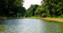 Stire din Social : Copiii vor ecologiza Dunărea