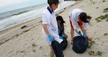 Stire din Social : Ziua Mondială a Mediului, sărbătorită de Junior Rangerii Rezervației Marine Vama Veche - 2 Mai