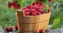 Stire din Sănătate : Zmeura aduce o serie de beneficii pentru frumusețe și sănătate