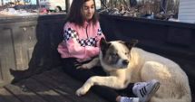 Stire din Actualitate : A fost găsit în viață după 101 zile de la incendiile devastatoare din California