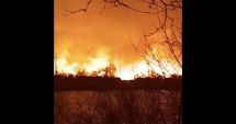 Stire din Eveniment : Incendiu puternic în Delta Dunării, în zona localităţii Sulina