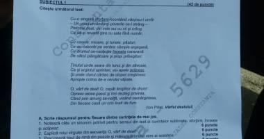 Evaluare Națională 2016. Iată ce subiecte au avut de rezolvat elevii din Constanța, la simularea de la română - 2