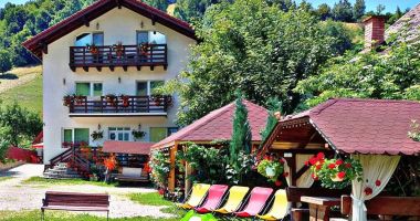 Stire din Economie : Comerţ, turism, servicii de piaţă. INFO economic