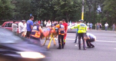 Galerie FOTO. Accidente rutiere grave. Week-end însângerat pe străzile Constanței - 3
