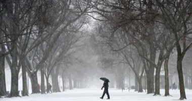 Stire din Actualitate : Avertisment de la meteorologi! NINSORI ACIDE în Coreea de Sud