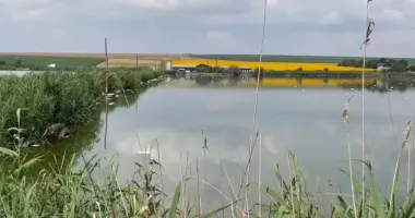 Dezastru ecologic la Corbu! Mii de pești au murit în doar câteva ore