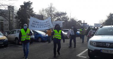 GALERIE FOTO / Fermierii protestează la Constanţa - 6