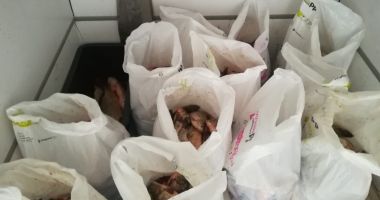 Sute de kg de pește, confiscate de polițiștii constănțeni